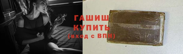 шишки Няндома