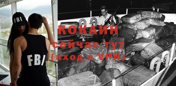 шишки Няндома
