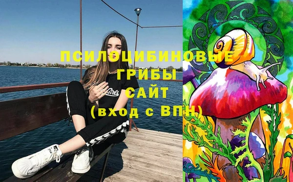PSILOCYBIN Абаза
