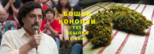 сатива Нязепетровск
