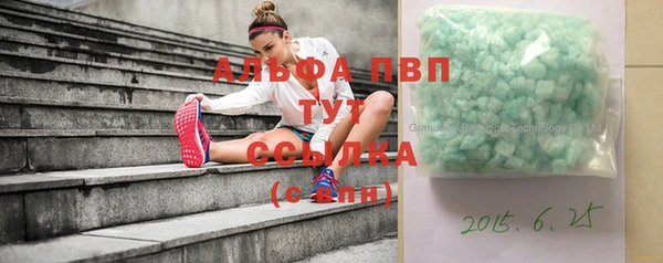 шишки Няндома